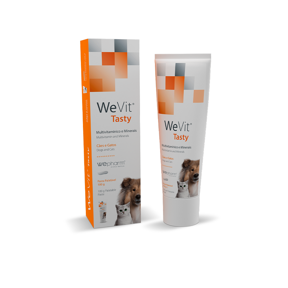 WeVit caini si pisici-pasta x 100g-WePharm PT