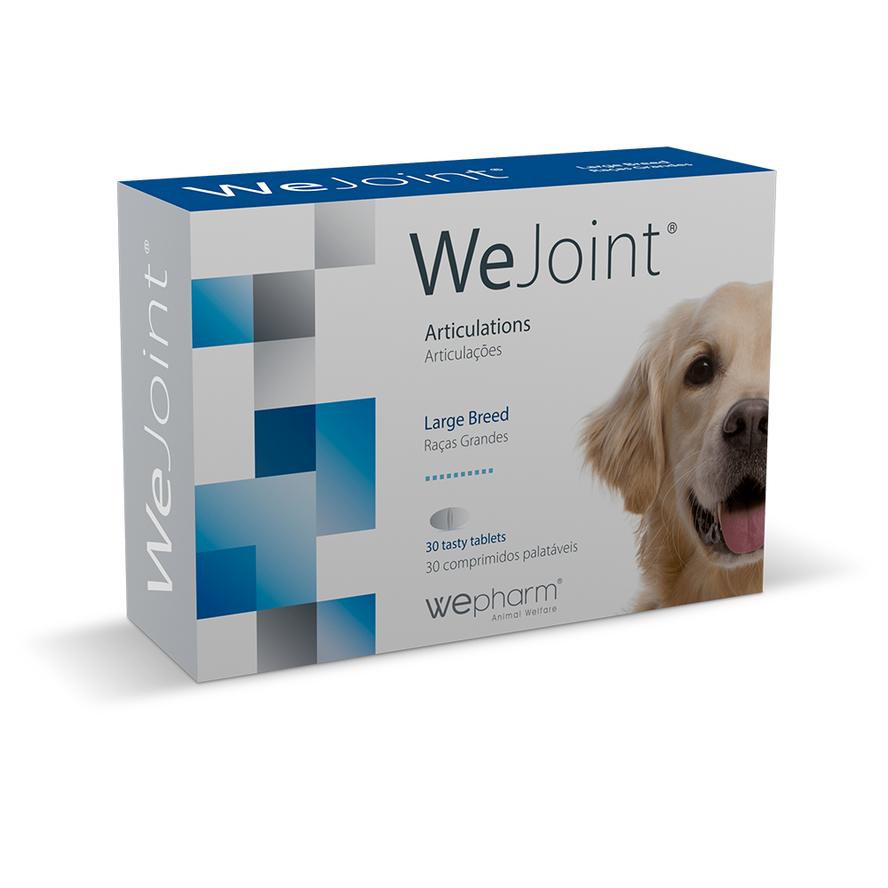 WeJoint Caini talie mare-cpr. x 30-WePharm PL